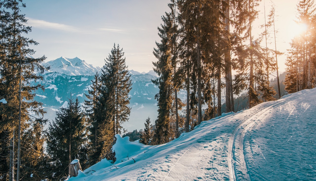 Winter Bäume Sonnenschein Landschaft Ski fahren in Tirol – Tipps für Anfänger